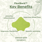 FlexiBack™ - Lower Back Pain Relief Patches