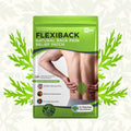 FlexiBack™ - Herbal Patches for Back Pain
